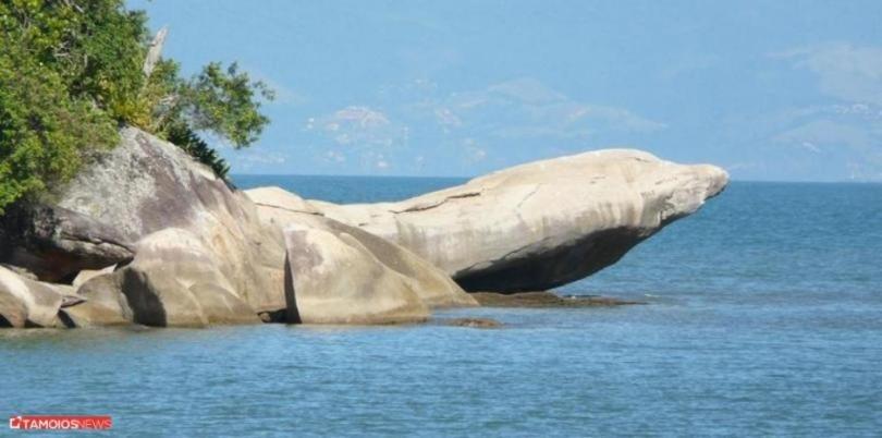 Apto Lindo 2 Dor Piscina Ar Internet 103 A Caraguatatuba Dış mekan fotoğraf